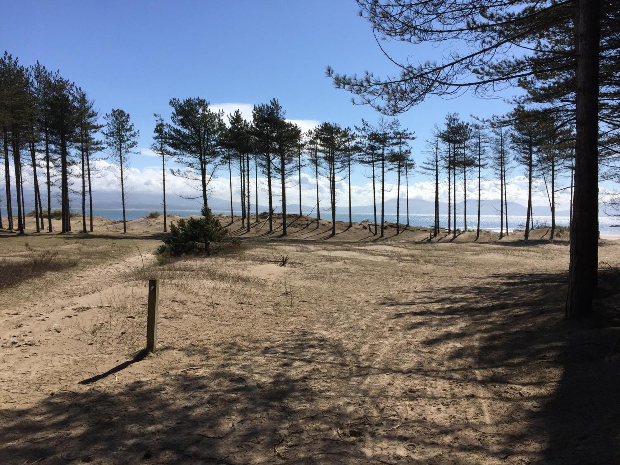 Llanw Malltraeth - Malltraeth Tides Llangadwaladr  Ngoại thất bức ảnh